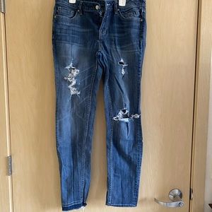 Vigoss the Chelsea Skinny Jean